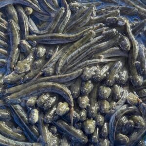 Cá kèo thiên nhiên